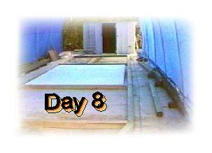 DAY 8